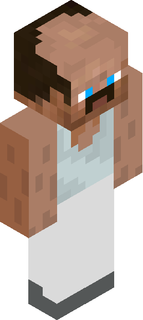 Minecraft skin tagged villager rank #23