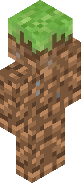 Minecraft skin tagged dirt rank #17
