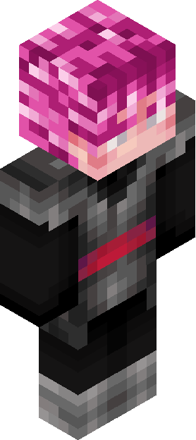Minecraft skin tagged stripe rank #4