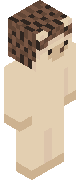VisionImpaired skin render