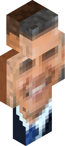 Minecraft skin tagged grizzled rank #2