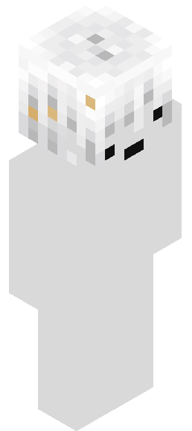 slyft_ skin render