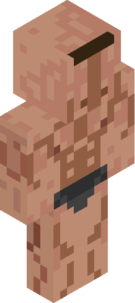 Minecraft skin tagged loincloth rank #30