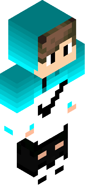 Minecraft skin tagged panda rank #22