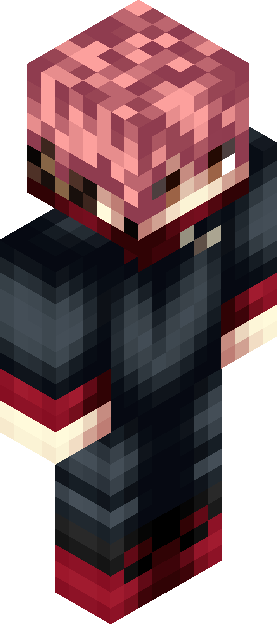 Minecraft skin tagged brain rank #6