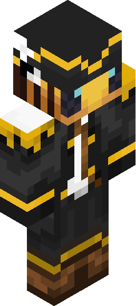 Minecraft skin tagged stylized rank #24