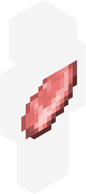 Minecraft skin tagged novelty rank #20