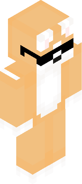 Minecraft skin tagged cat rank #14
