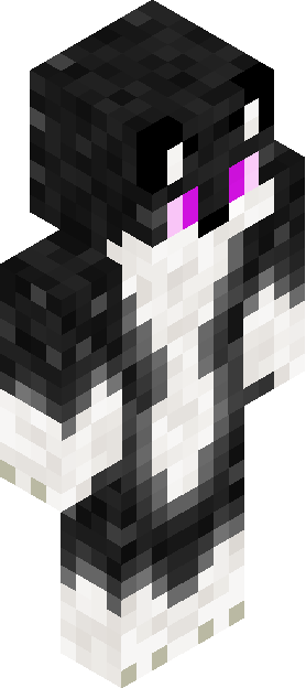 Minecraft skin tagged blackwhite rank #21