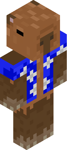 Minecraft skin tagged patterned rank #11