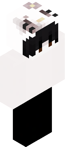 Minecraft skin tagged white rank #27