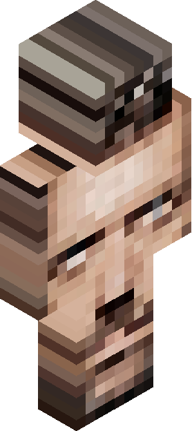 Minecraft skin tagged wrapped rank #22