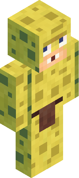 Minecraft skin tagged novelty rank #15