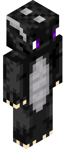 Enter_ID skin render