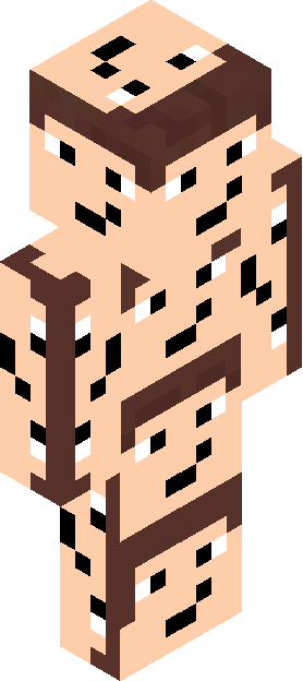 Minecraft skin tagged novelty rank #35