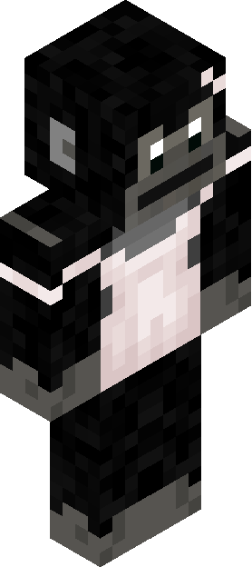 Minecraft skin tagged headphones rank #31