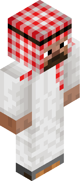 Minecraft skin tagged checkered rank #43