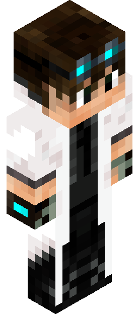 prof_game skin render