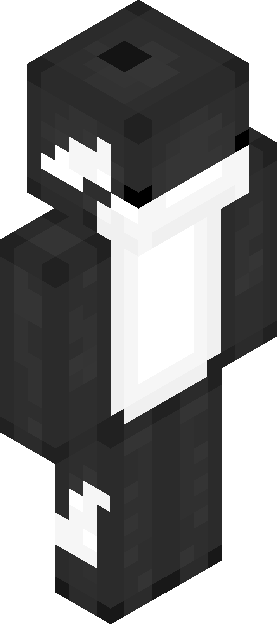 Minecraft skin tagged contrast rank #8