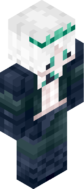 Minecraft skin tagged duotone rank #12