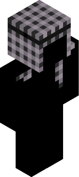 Minecraft skin tagged checkered rank #38
