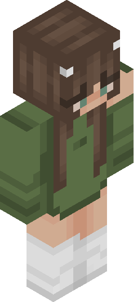 Minecraft skin tagged socks rank #42