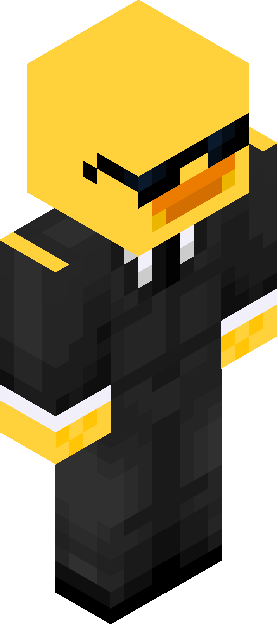 Minecraft skin tagged bird rank #17