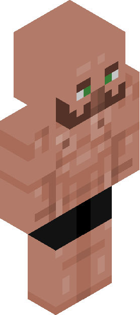 Minecraft skin tagged npc rank #35