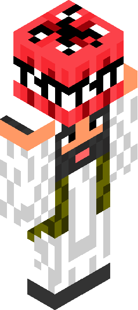 Minecraft skin tagged novelty rank #19