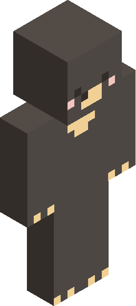 Minecraft skin tagged ninja rank #45