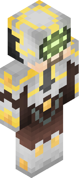 Minecraft skin tagged paladin rank #30