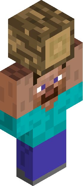 Minecraft skin tagged wood rank #3