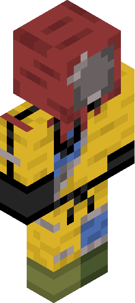 Minecraft skin tagged survivor rank #24