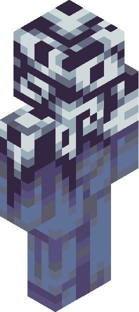 Minecraft skin tagged maze rank #5