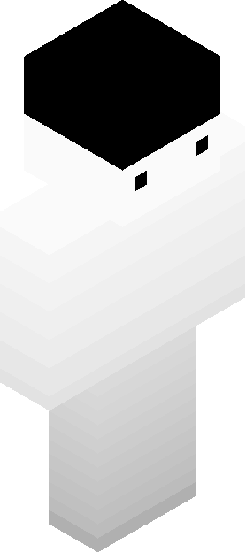 Minecraft skin tagged blank rank #35