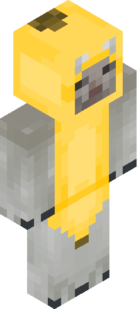 Minecraft skin tagged chicken rank #46