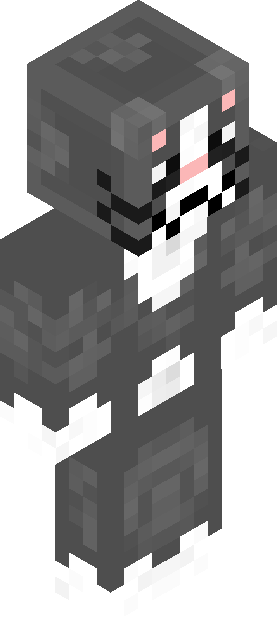 RafaNewen skin render