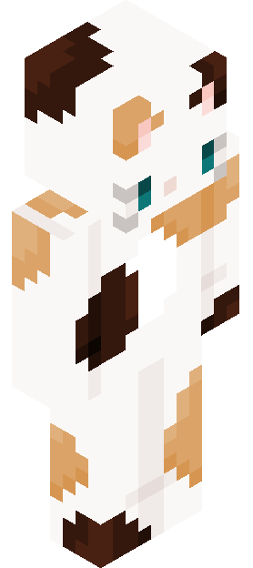 RocketCat666666 skin render