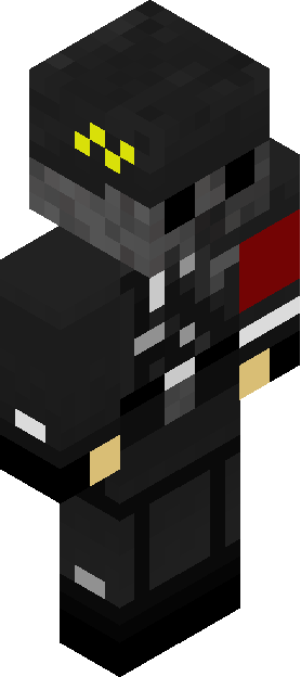Minecraft skin tagged armband rank #5