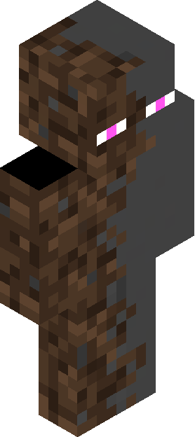 Minecraft skin tagged dirt rank #13