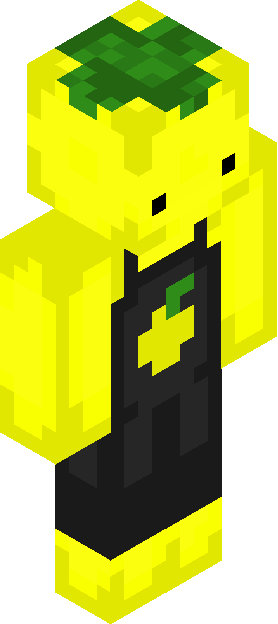 Minecraft skin tagged bright rank #42