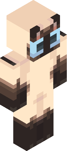 Minecraft skin tagged cartoon rank #33
