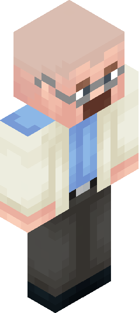 Minecraft skin tagged npc rank #16