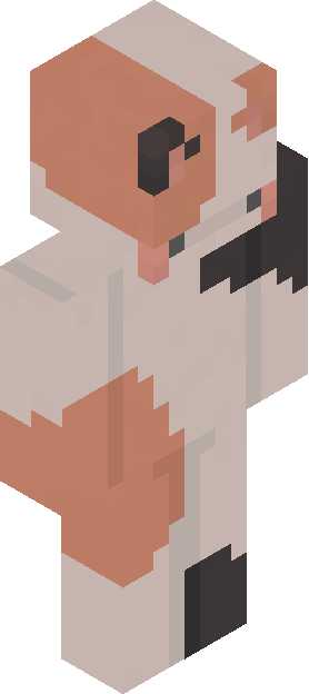 Minecraft skin tagged ragged rank #34