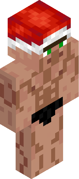 Minecraft skin tagged hat rank #16