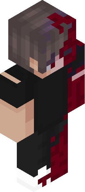Minecraft skin tagged duotone rank #31