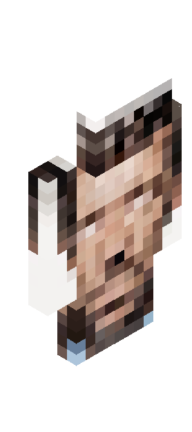 physicsracing skin render
