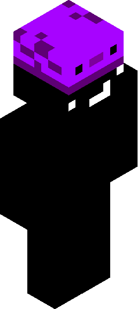 Minecraft skin tagged blocky rank #24