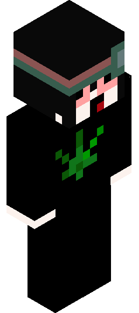 CardFraud skin render