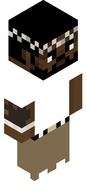 NotBiscuite skin render